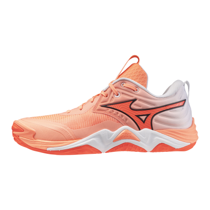 Mizuno Wave Momentum Elite