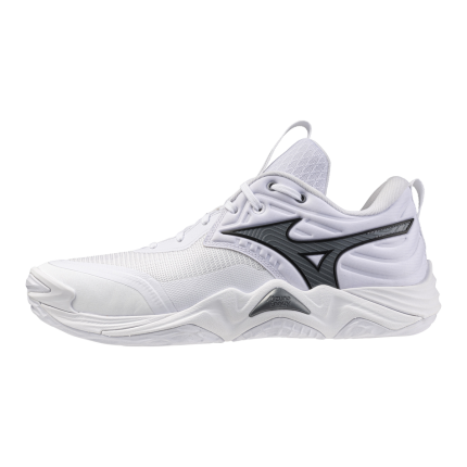 Mizuno Wave Momentum Elite