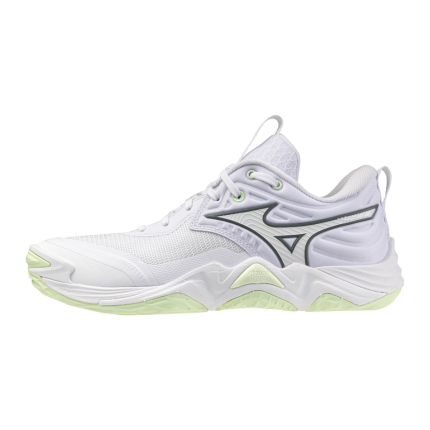Mizuno Wave Momentum Elite